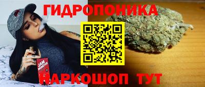 apvp Гай