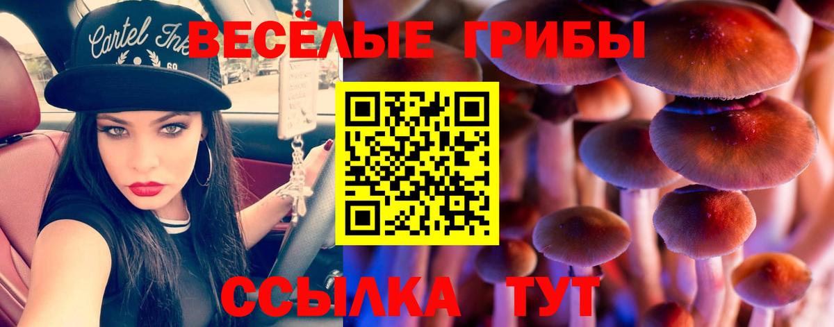 Галлюциногенные грибы Magic Shrooms Мыски